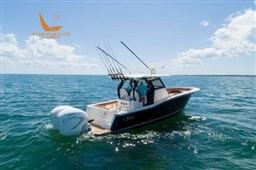 330lxf-running-05-500x333