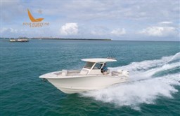 305lxf-running-004-1-500x325