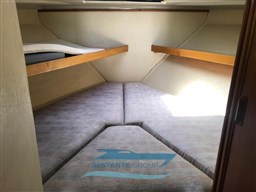 WhatsApp Image 2022-06-15 at 16.24.45