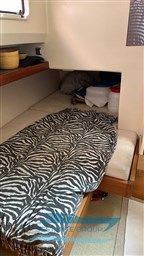 WhatsApp Image 2023-08-24 at 17.03.48