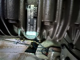 IMG_5286.jpeg