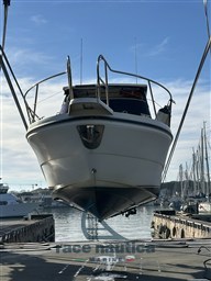 IMG_9194.jpeg