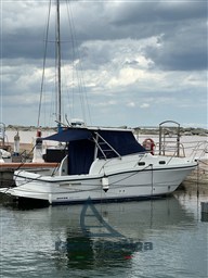 IMG_4150.jpeg