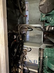 IMG_6604.jpeg