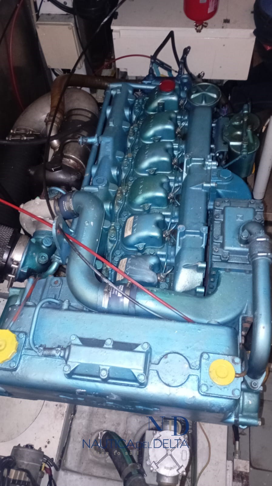 WhatsApp Image 2025-10-23 at 17.13.00.jpeg