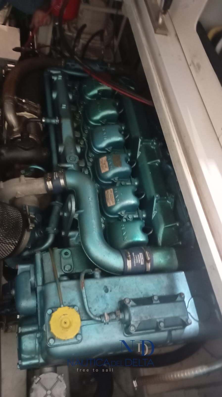 WhatsApp Image 2025-10-23 at 17.13.09.jpeg