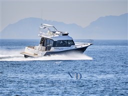 Rodman  1290 Evolution 079_baja.jpg