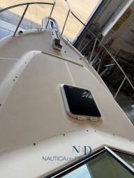 IMG_3297.jpeg