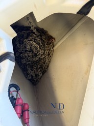 IMG_3299.jpeg