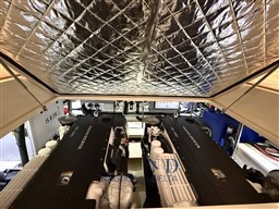 IMG_3599.jpeg