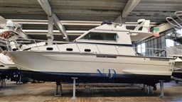 WhatsApp Image 2021-11-11 at 17.10.34.jpeg