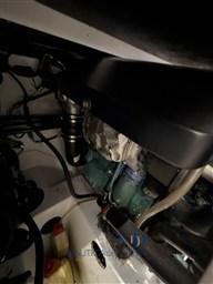 IMG_4644.jpeg