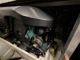 IMG_4643.jpeg