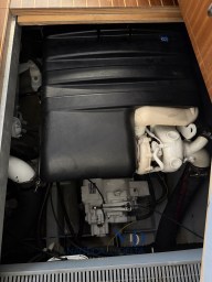IMG_3266.jpeg