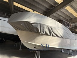 IMG_7786.jpeg