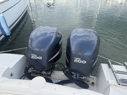 IMG_4170.jpeg