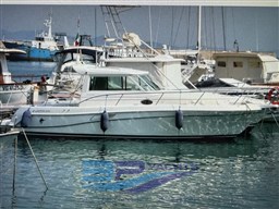 IMG_3023.jpeg