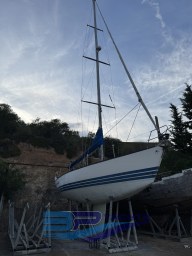 IMG_2671.jpeg