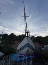 IMG_2670.jpeg