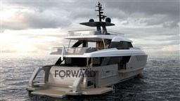 8952822_20231020040345513_1_XLARGE