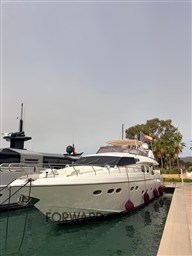 Technema 70 (42)