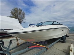 WhatsApp Image 2026-04-01 at 17.12.58