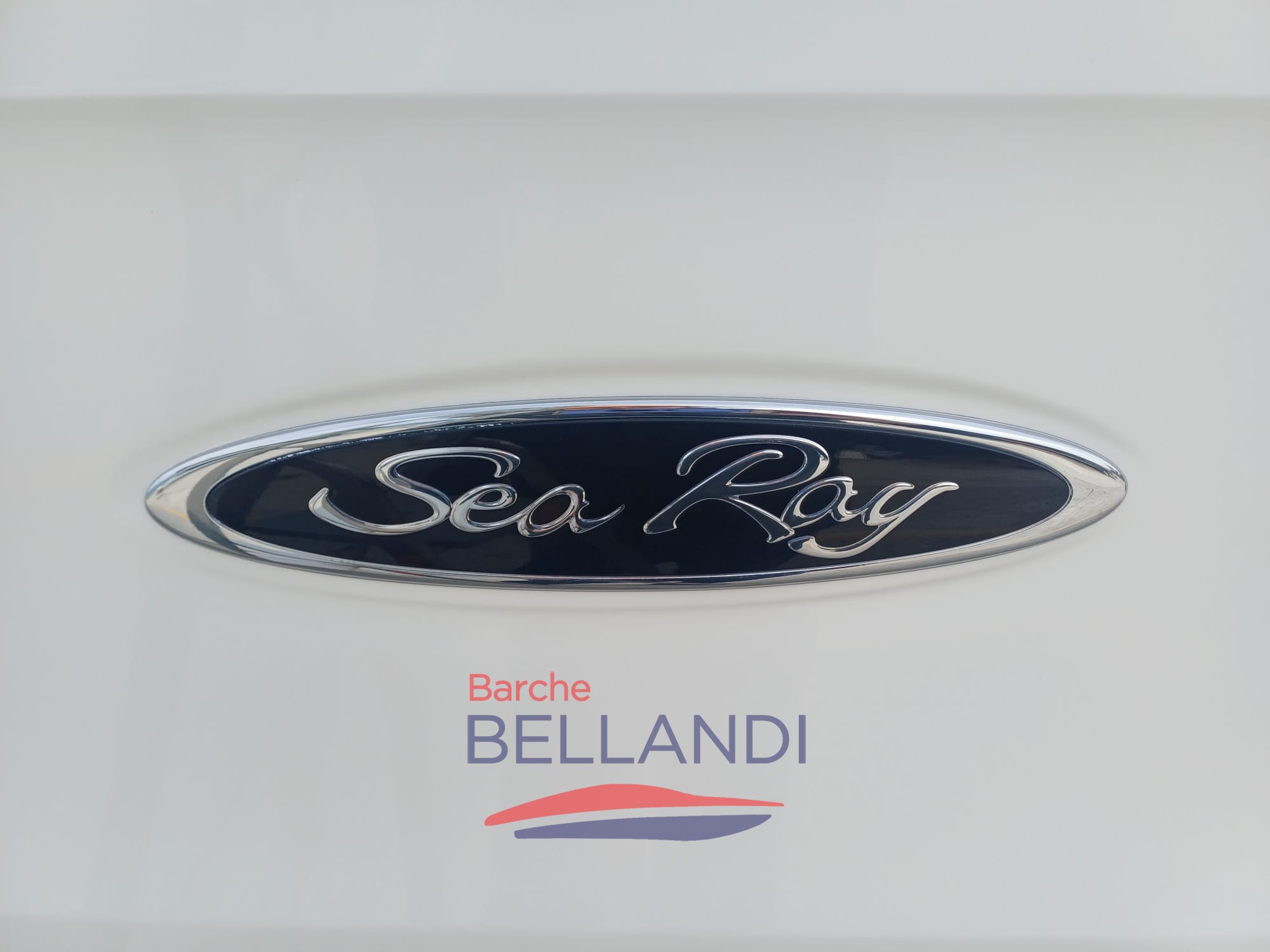 WhatsApp Image 2026-04-01 at 17.13.05