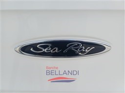 WhatsApp Image 2026-04-01 at 17.13.05