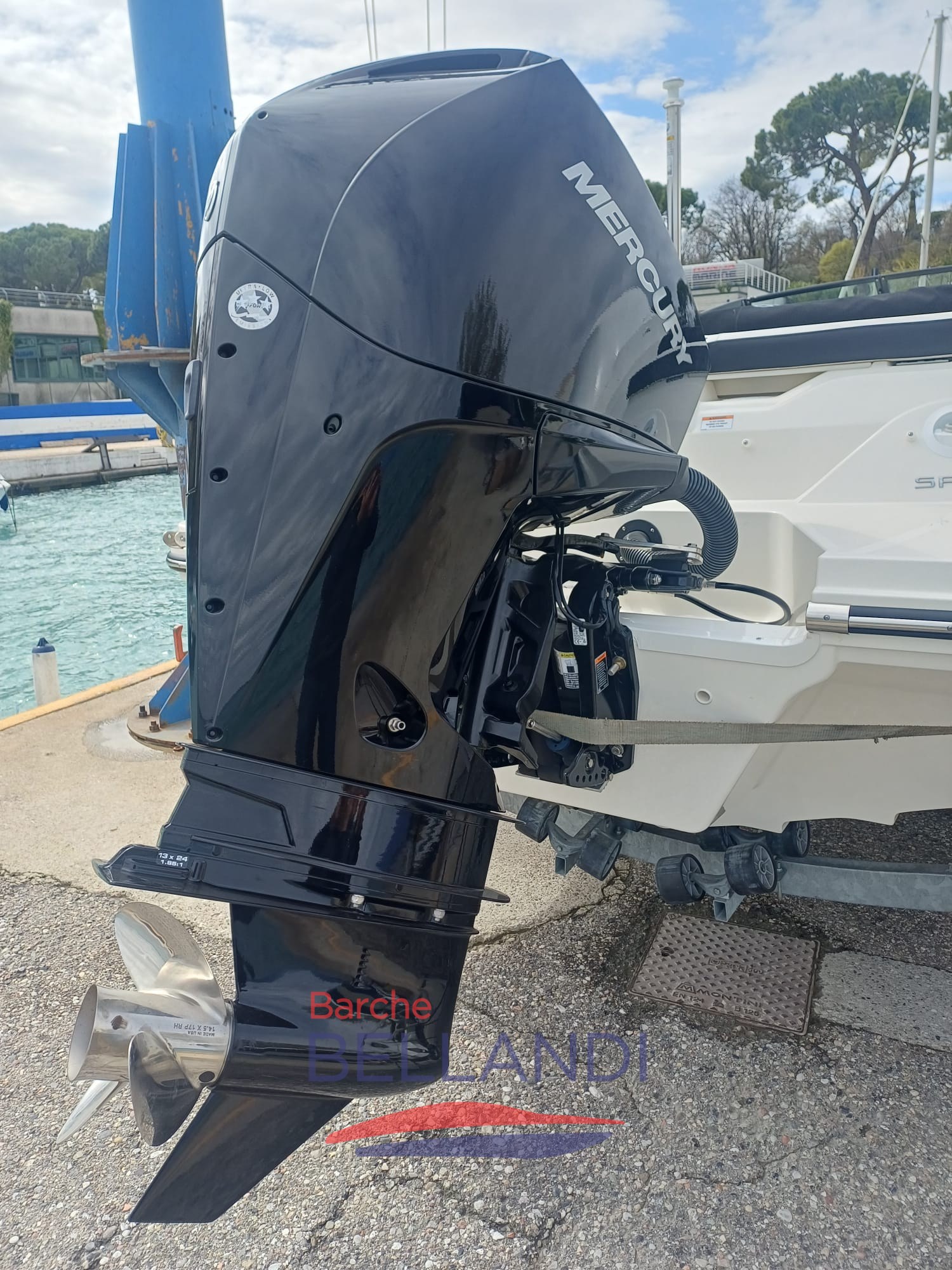 WhatsApp Image 2026-04-01 at 17.13.10