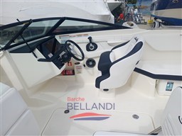 WhatsApp Image 2026-04-01 at 17.13.01