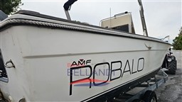 ROBALO_2520_Suzuki_200_barcausata_3