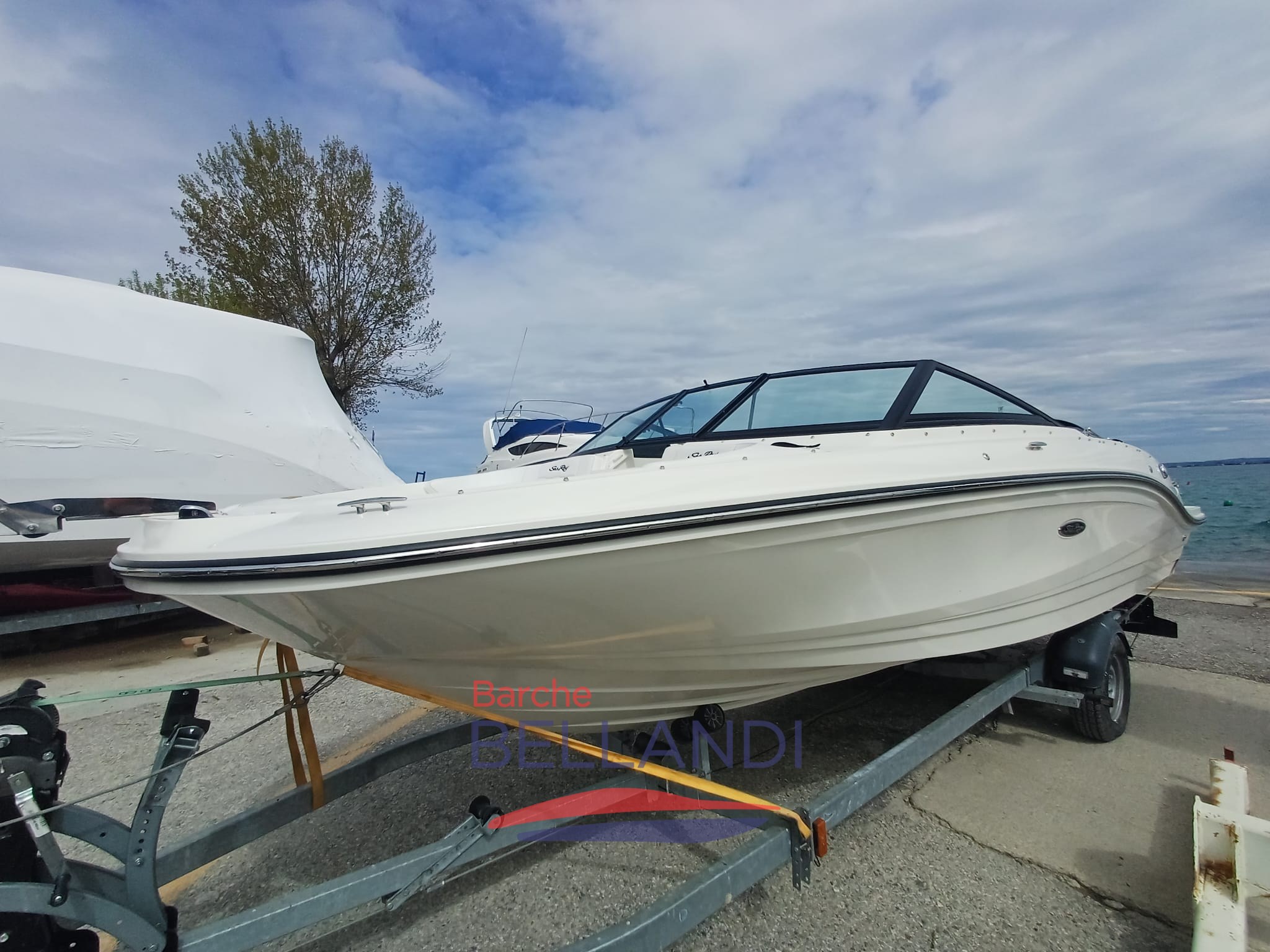 WhatsApp Image 2026-04-01 at 17.12.58