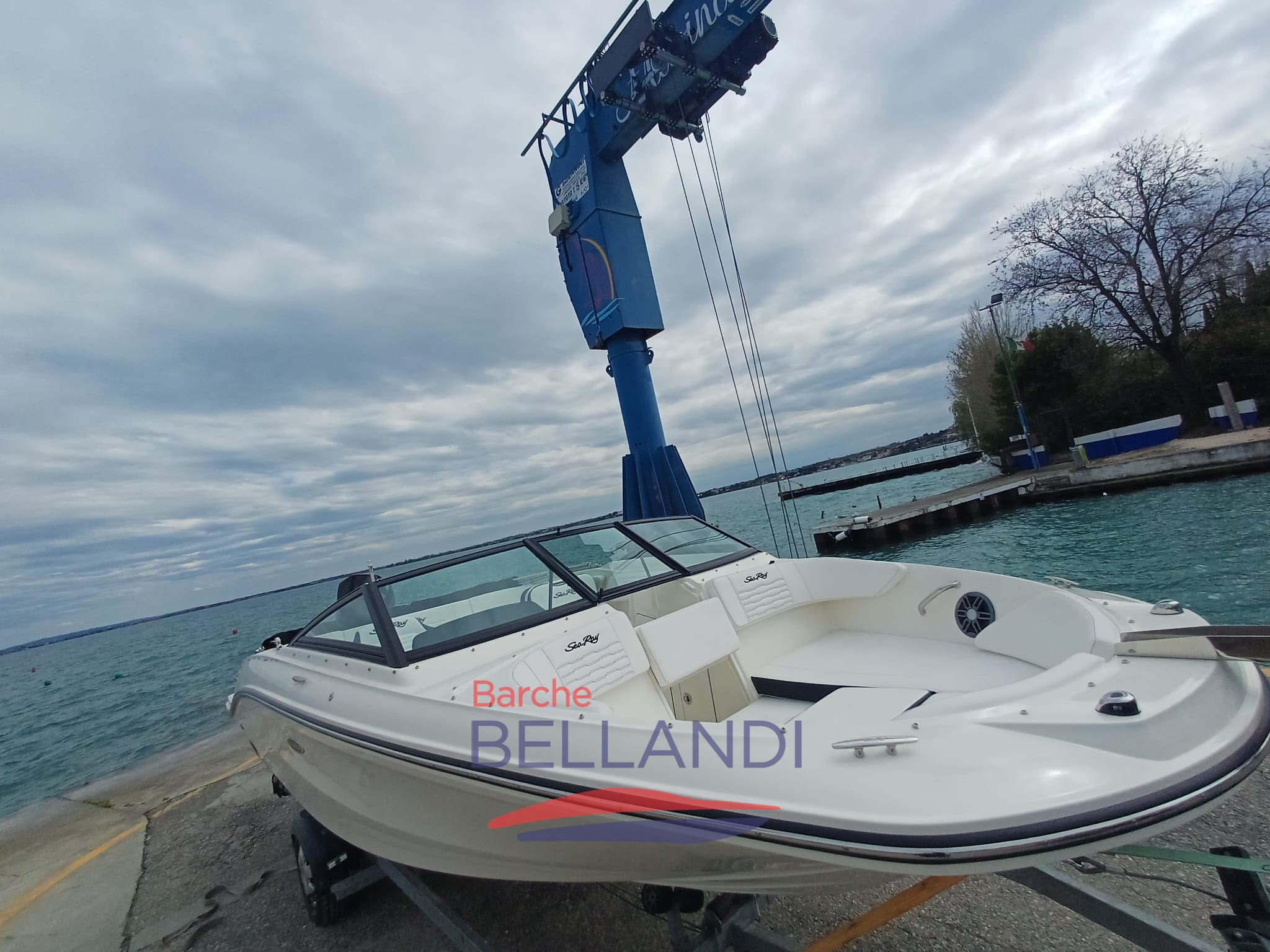 WhatsApp Image 2026-04-01 at 17.12.52