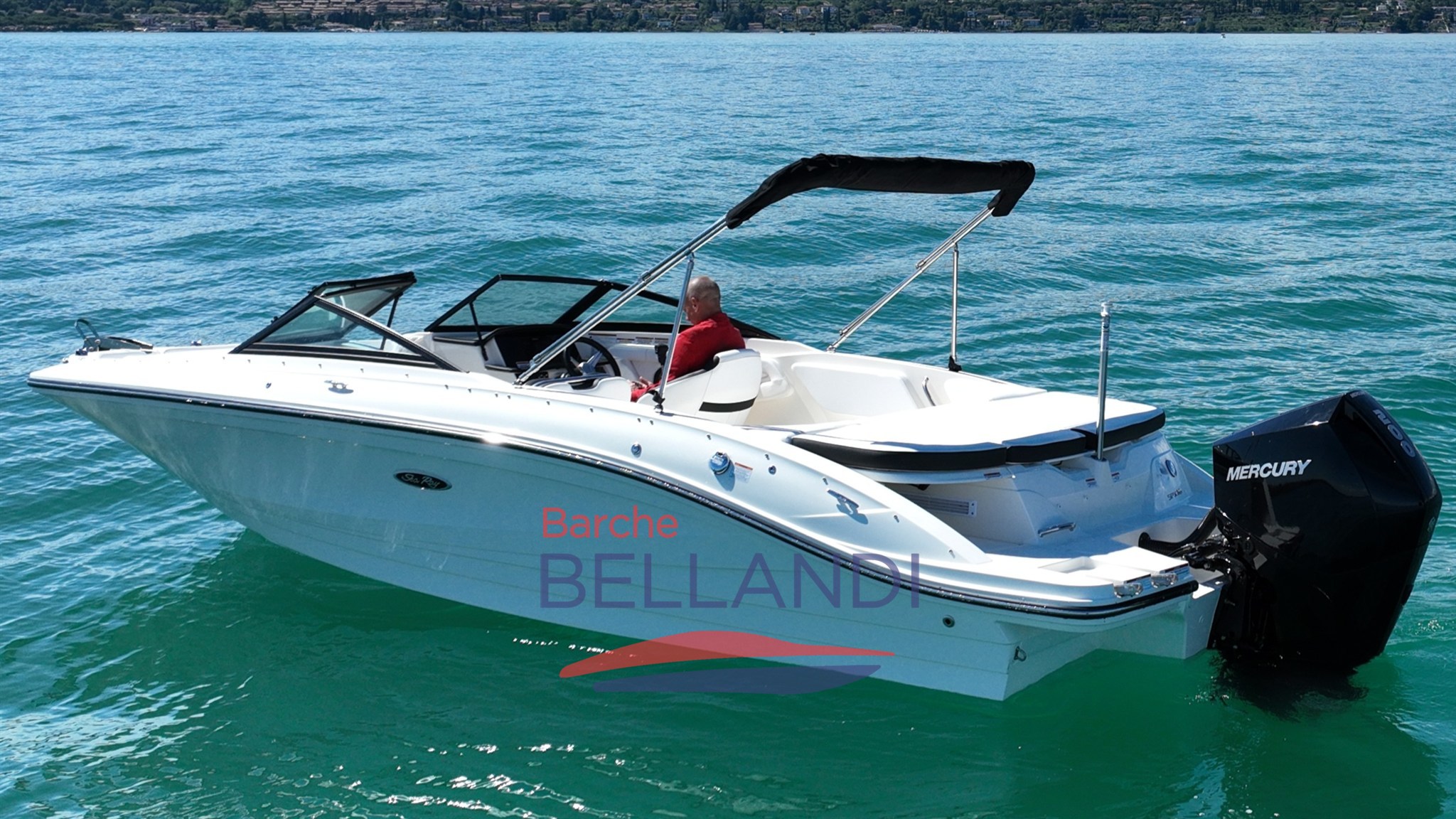 searay_210_spo_barchebellandi_barcanuova_prontaconsegna_8