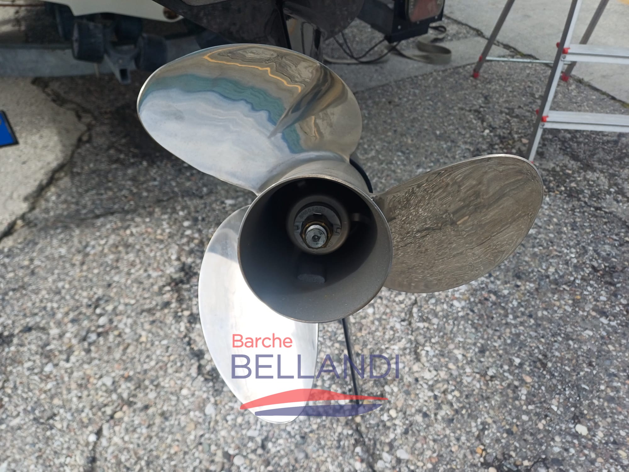 WhatsApp Image 2026-04-01 at 17.13.09