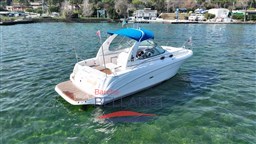 searay_335_usatogarantito_lagodigarda_barchebellandi_68