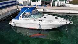 searay_335_usatogarantito_lagodigarda_barchebellandi_86