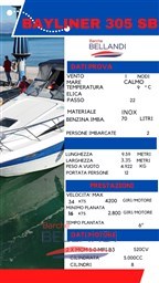 BAYLINER305_scheda