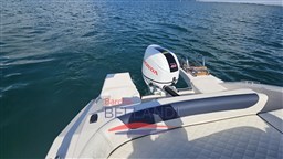 Eolo_6.0_barchebellandi_4