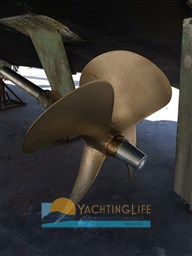 IMG-20221010-WA0049