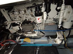 IMG_20251114_120656