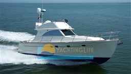 estensi-420-goldstar-c-lobster-5-2000x1125