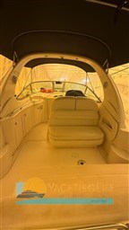 WhatsApp Image 2026-02-04 at 19.00.27