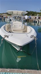 Boston Whaler 320 Outrage