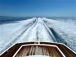 IMG_8913.jpg