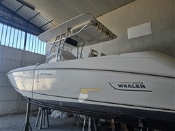 IMG_3877.jpeg