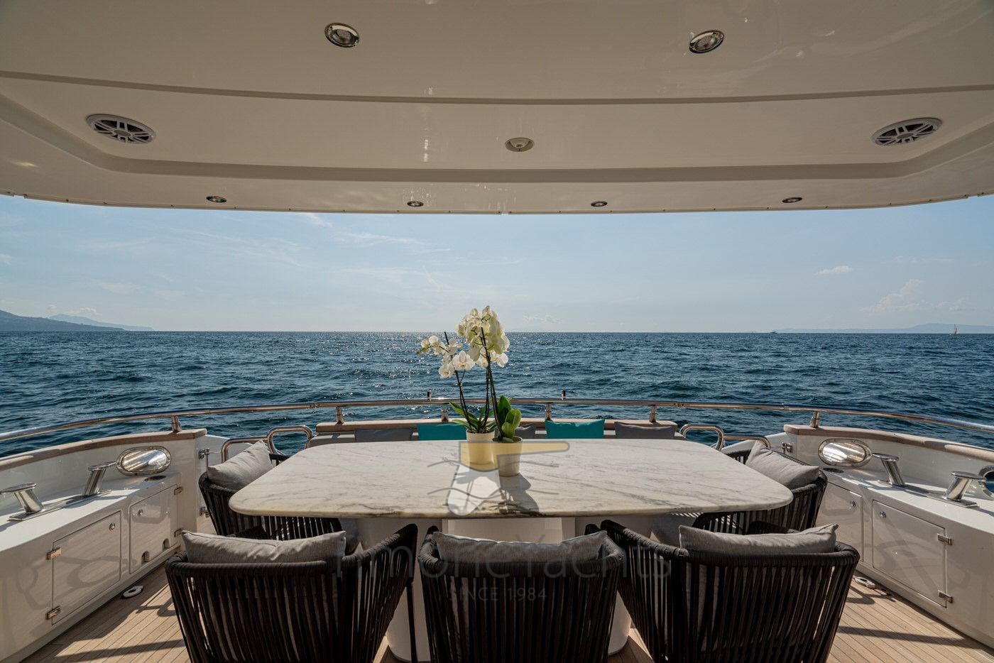 PHOTO-2023-06-30-19-08-09.jpg