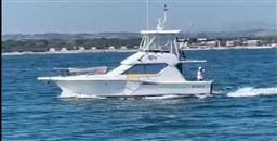 Immagine WhatsApp 2024-05-13 ore 16.51.04_df8b9273