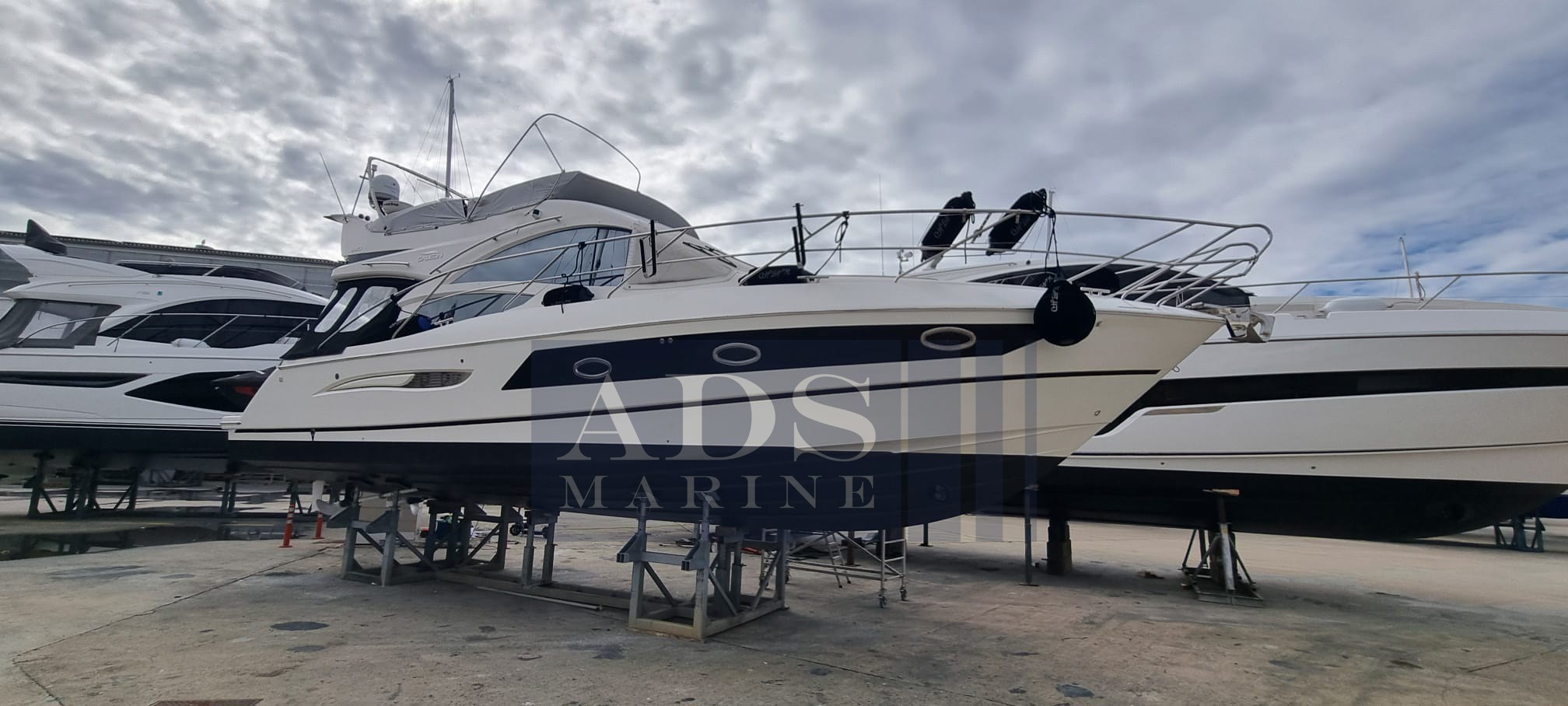 WhatsApp Image 2026-02-21 at 19.19.04