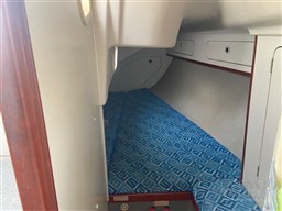 Immagine WhatsApp 2025-10-22 ore 11.21.47_d8800da1